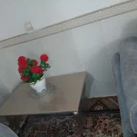مبل|مبلمان خانگی و میز عسلی|میانه, |دیوار