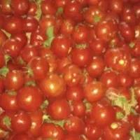 رب دستی