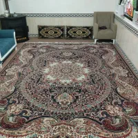 قالی|فرش|تربت جام, معدآباد|دیوار