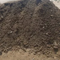 کود گاوی خالص کود گوسفندی|خدمات باغبانی و درختکاری|شوشتر, |دیوار