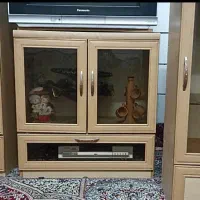 زیر تلویزیونی