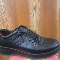 کفش چرم طرح اسپورت|کیف، کفش، کمربند|زرند, |دیوار