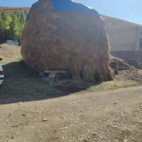 فروش یونجه وغلف