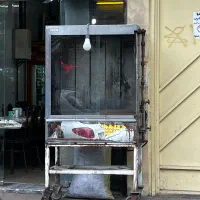 فر مرغ بریرون بفروش میرسید