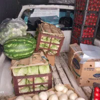 تامین میوه و تره بار ایرانی وخارجی درجه ۱|خوردنی و آشامیدنی|تهران, اوین|دیوار