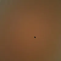 سیم کارت ۰۹۱۲کد۲