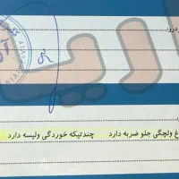 پژو ۲۰۷|خودرو سواری و وانت|کرمانشاه, |دیوار