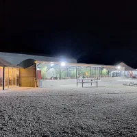 استخادمی رستوران