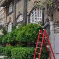 باغبانی فوق حرفه ای
