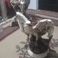 مجسمه دو تیکه عقاب|مجسمه، تندیس، ماکت|گرگان, |دیوار