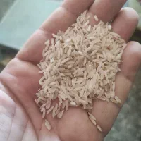 برنج سفیدطارم