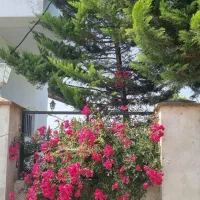 ۱۰۳۷ -رهن خانه ویلایی ۱۴۰ متری ۳ خوابه شهرکی|اجارهٔ خانه و ویلا|ایزدشهر, |دیوار