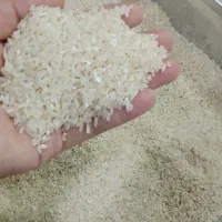 برنج طارم فریدونکنار درجه یک|خوردنی و آشامیدنی|مشهد, پنجتن|دیوار