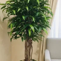 درختچه مصنوعی|گل مصنوعی|پرند, فاز ۴|دیوار