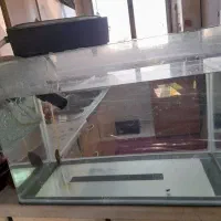 دو عدد اکواریوم|ماهی|تهران, سلیمانی|دیوار