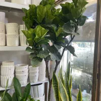 نیازمند نیروی خدماتی خانم