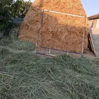 علف