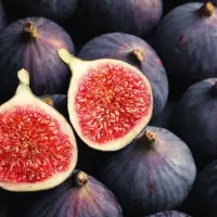 انجیر ب قیمت عمده