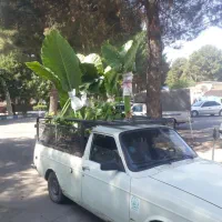 وانت تلفنی حمل بار واثاثیه منزل