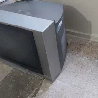 تلوزیون|تلویزیون و پروژکتور|شیراز, قدوسی شرقی|دیوار