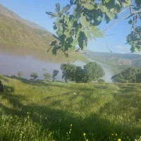 کار در گاوداری