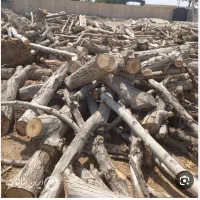 خریدوفروش انواع چوب