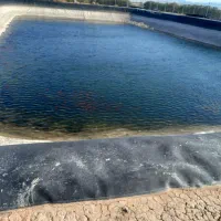 فروش ما هی،