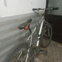 دوچرخه ویوا ۲۶