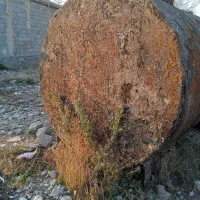 تانکر|مصالح و تجهیزات ساختمان|باسمنج, |دیوار