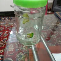 تعدادی شیشه و لاک (محدود)