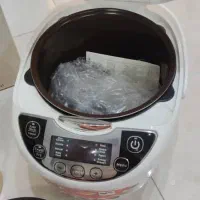 پلو پز چند کاره