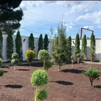 خدمات باغبانی هرسکاری کودهی گلکاری.متخصص.گلدون|خدمات باغبانی و درختکاری|تهران, نیروی هوایی (پیروزی)|دیوار