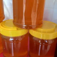 محصولات ارگانیک