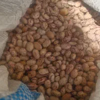 لوبیا چیتی و قرمز عمده بوجاری شده