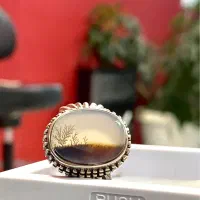 شجر کلکسیونی خاص