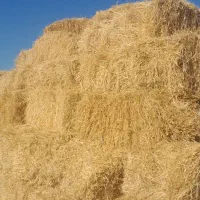 یونجه و علوفه خشک
