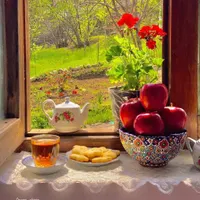 اسکان رایگان برای هموطنان