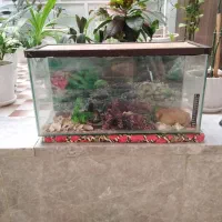 آکواریوم قیمت یک میلیون