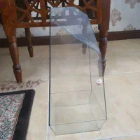 گلدان تراریوم