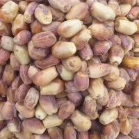 خرمازاهدی ۵۰۰کیلو