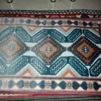 پادری های رنگی رنگی ریشه دار|پادری|پاکدشت, پاکدشت (مامازند)|دیوار