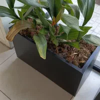 واگذاری یک باب رستوران