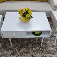 جلو مبلی نو و شیک