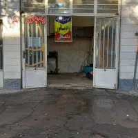 رادیاتور سازی دلفین