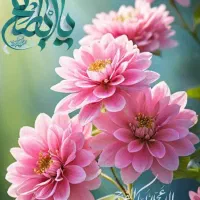 استخدام نیرو خانوم