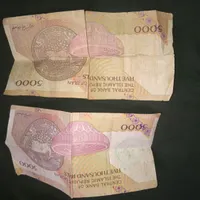 سکه و اسکناس