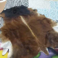 پوست گاو طبیعی مویی (پوست فرش)