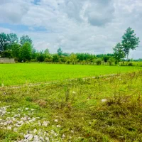 فروش زمین مسکونی فشتکه روستای ملی حصیر گیلان