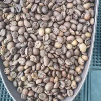 فروش انواع دان قهوه و پودریجات.رست و دستگاه صنعتی|کافی‌شاپ و رستوران|اصفهان, زهران|دیوار