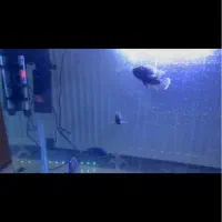 اکواریوم شیشه خم ۱۲۰